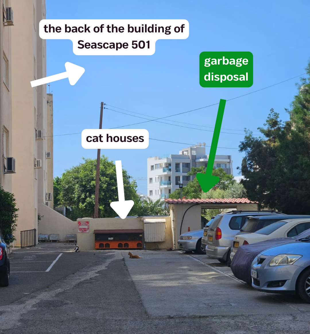 Garbage disposal area behind the building